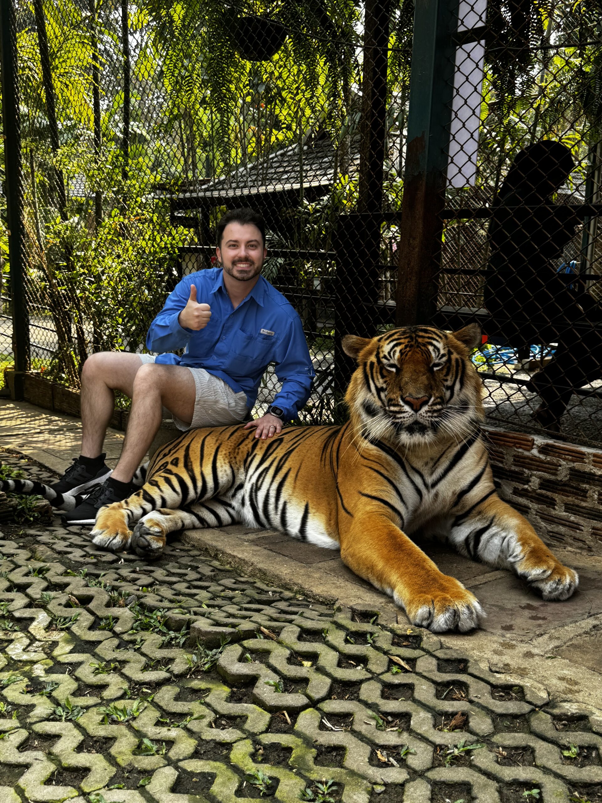 Michael Stoian with tiger